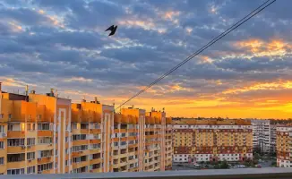 Павлодар: Полицейские предотвратили суицид, поднимая вопросы о поддержке