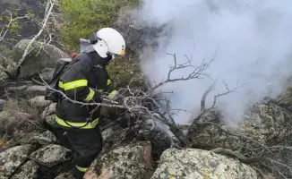 Локализация пожара в Баянауле: как сообщество объединяется в беде