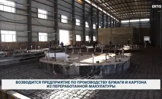 Новый завод по переработке бумаги: международные стандарты устойчивости