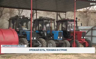 Уборочная жатва: техника в строю, урожай как золотой дождь на полях