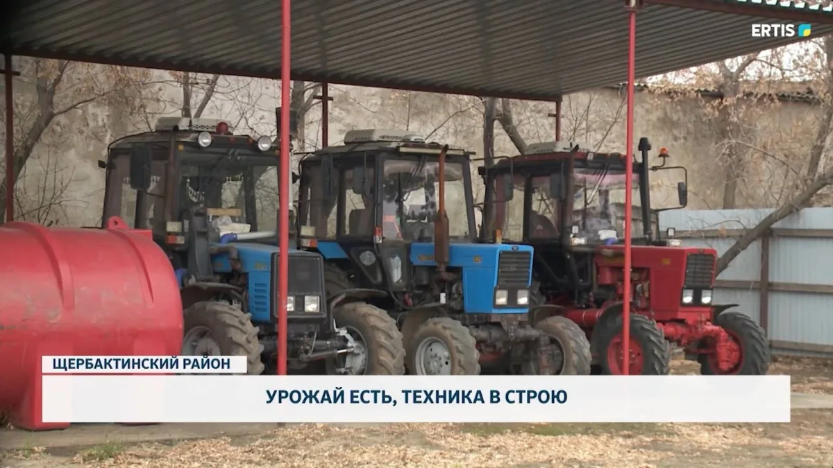 Уборочная жатва: техника в строю, урожай как золотой дождь на полях